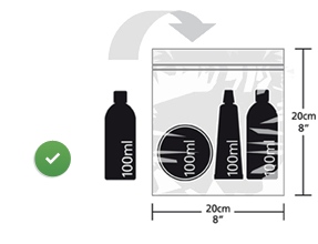 Liquids bottles should be less than 100 ml and must fit in less than 20 cm into 20 cm packet